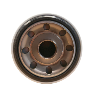Fuel Filter FS006 Compatible Fleetguard FS1006 - MPS Filter