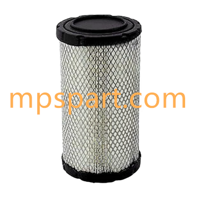 A/C Filter Compatible RS5305 P195930 - MPS Filter