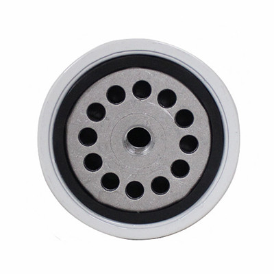 Fuel Filter Compatible 2656F843 2719385 1000012854 - MPS Filter-2